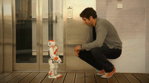 gid://shopify/MediaImage/33283717660918